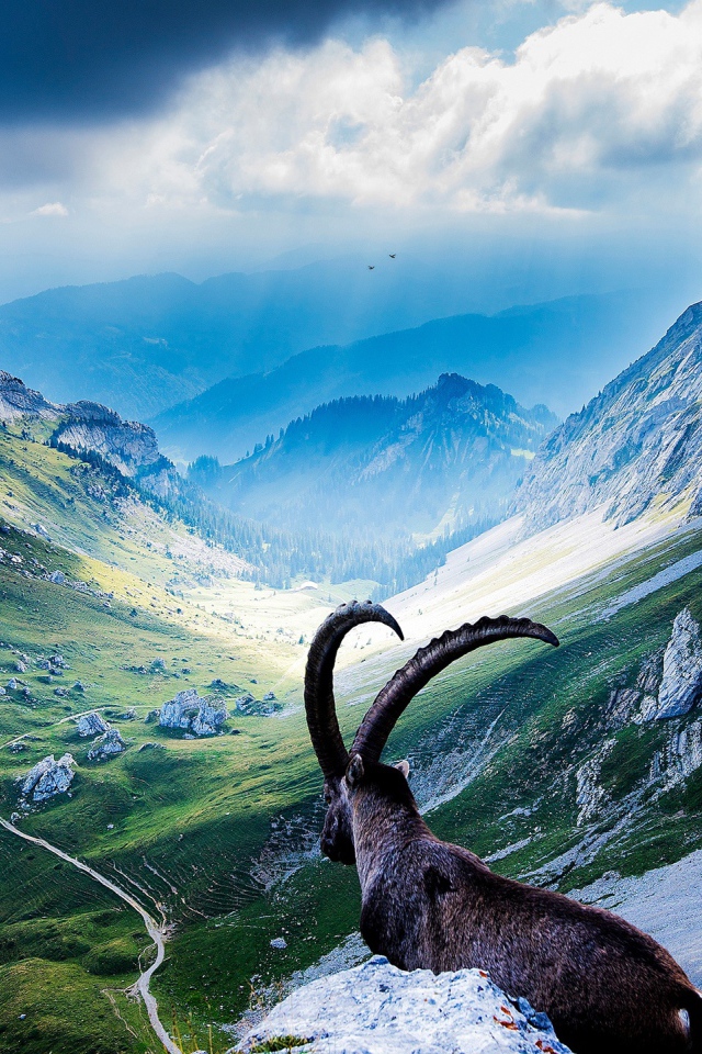 Вершины гор