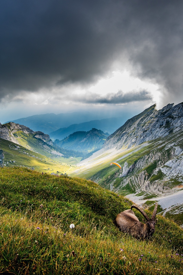 Вершины гор в Швейцарии