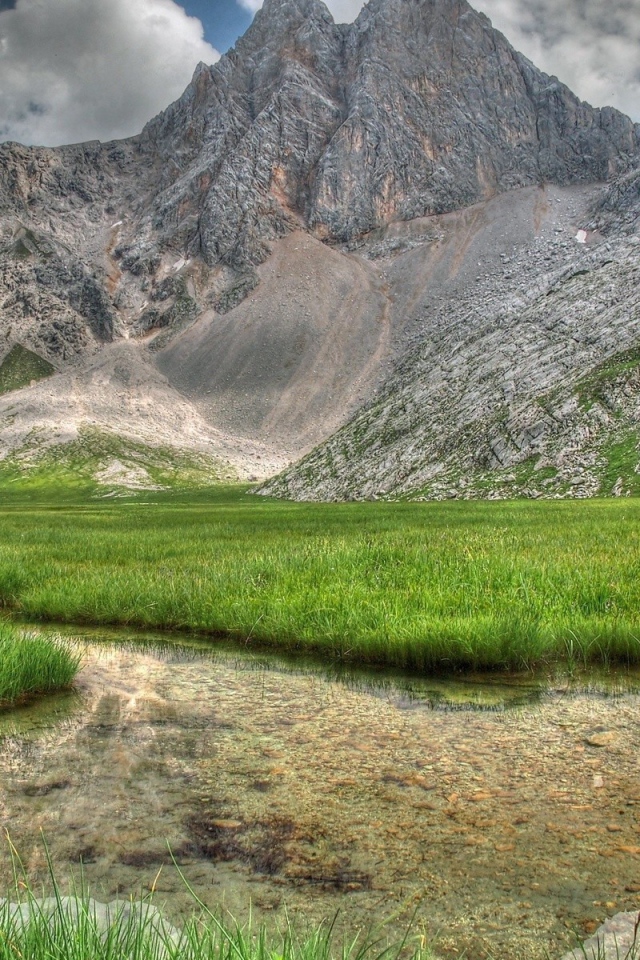 Заросшее травой озеро