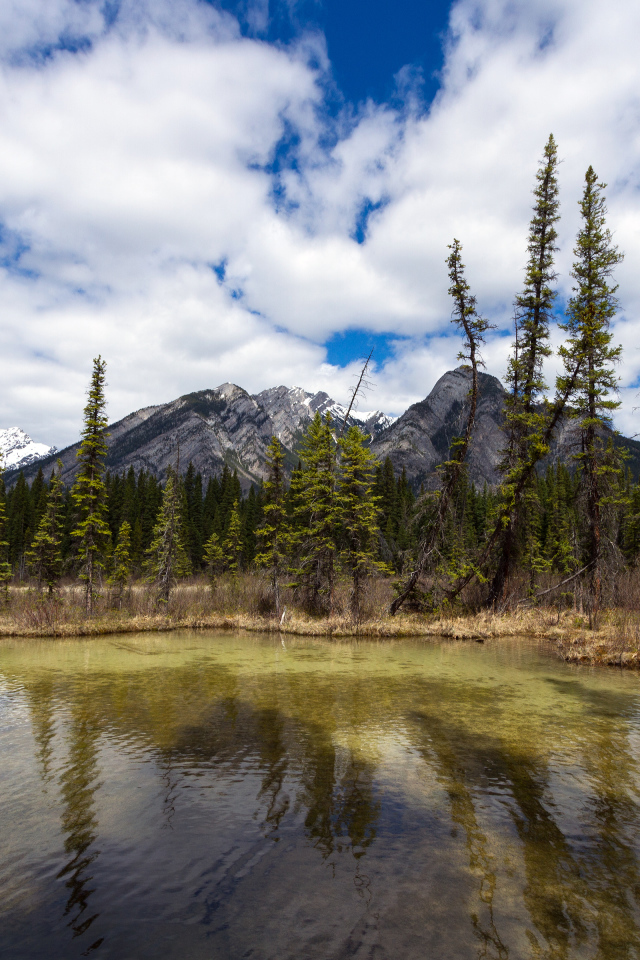 Маленькое озеро и красивые горы
