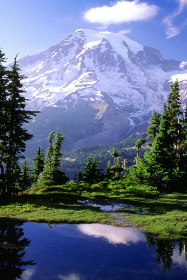 Снежная гора вдали