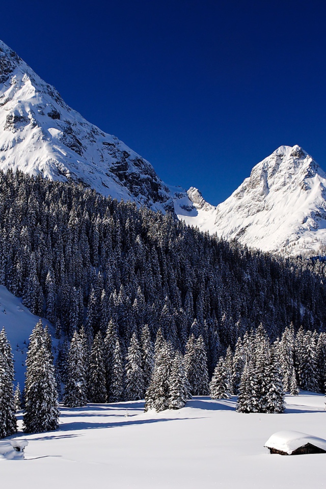 Снежные горы и лес в снегу