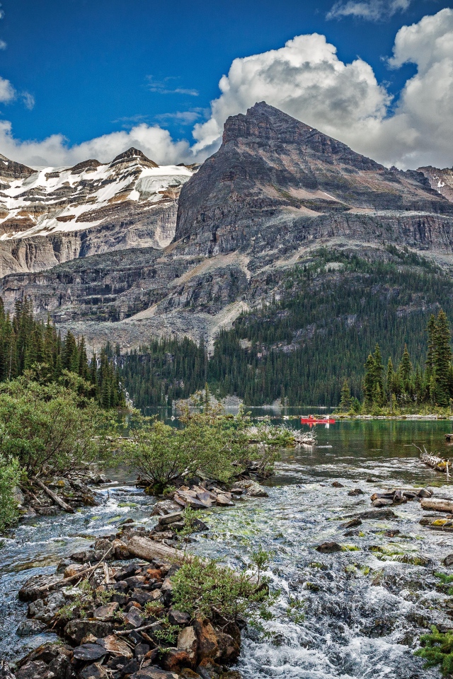 Горная река среди леса