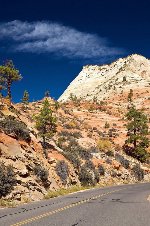 Дорога в желтых горах