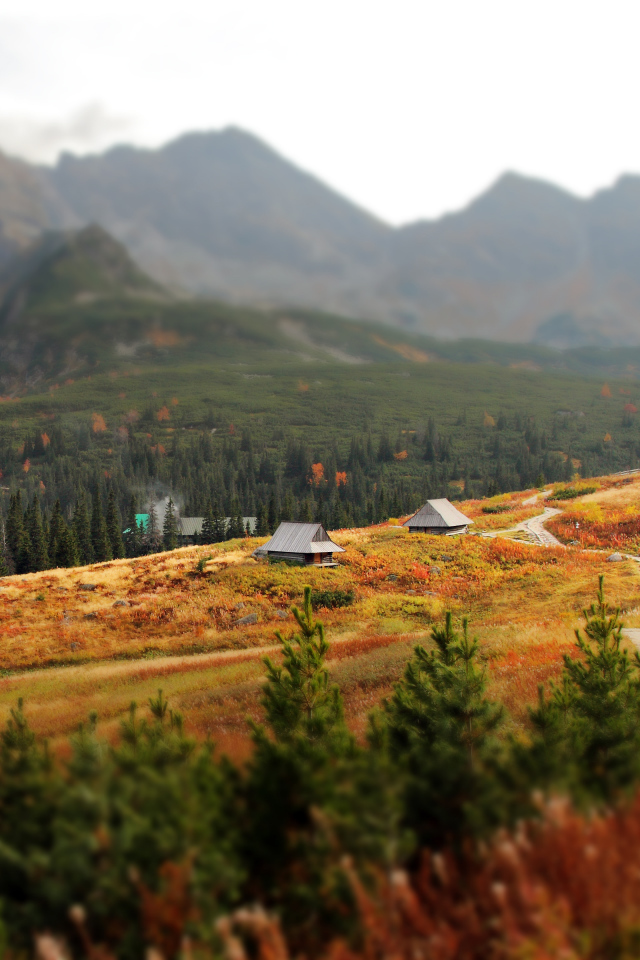 Посёлок на фоне гор Татры