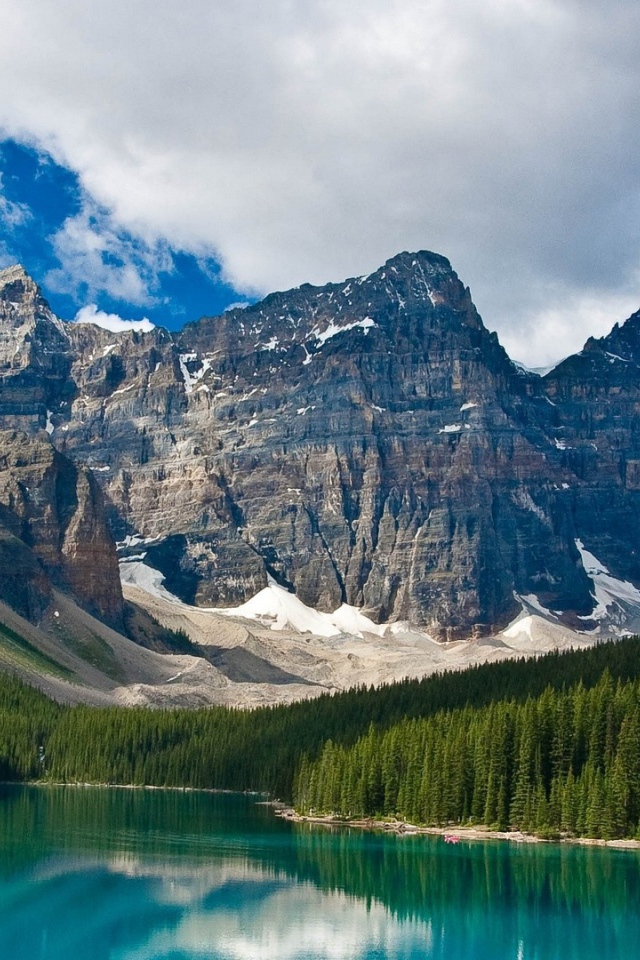 Ель на берегу озера