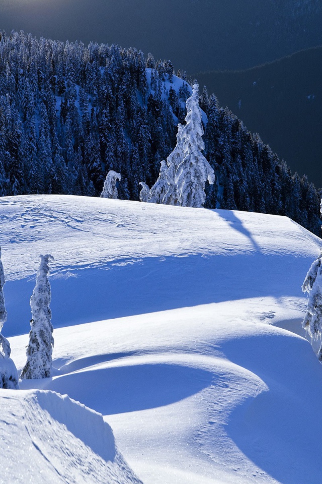 Горный пейзаж Колумбии