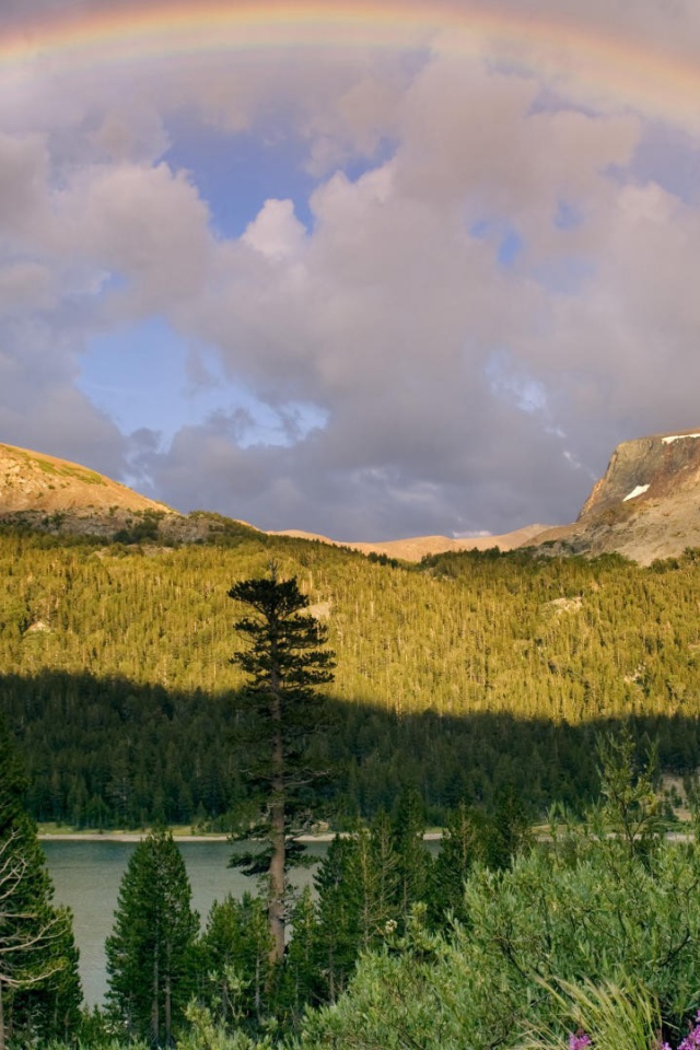 Радуга после дождя