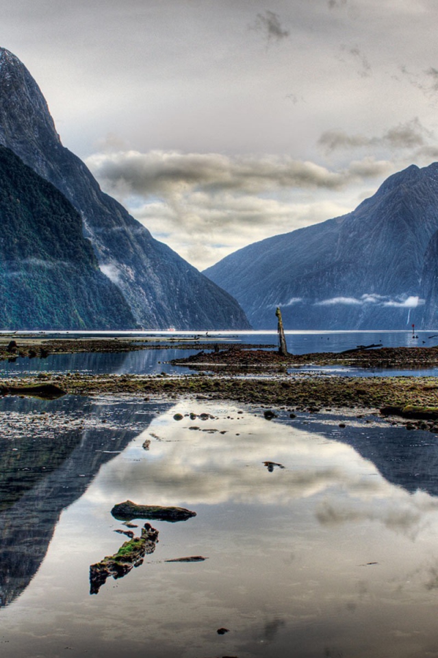 Дикая природа гор