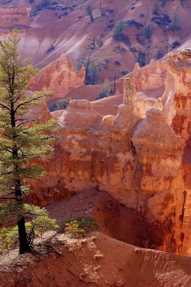 Каньон утах в америке