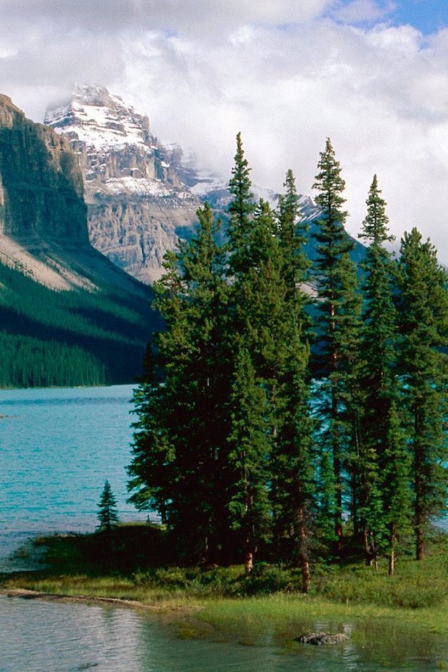 Остров с деревьями на озере