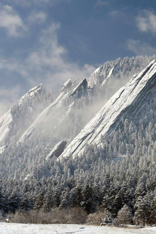 Скалы и деревья