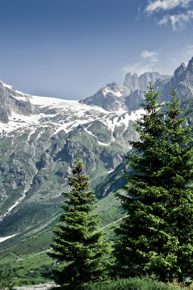 Снежные горы и деревья