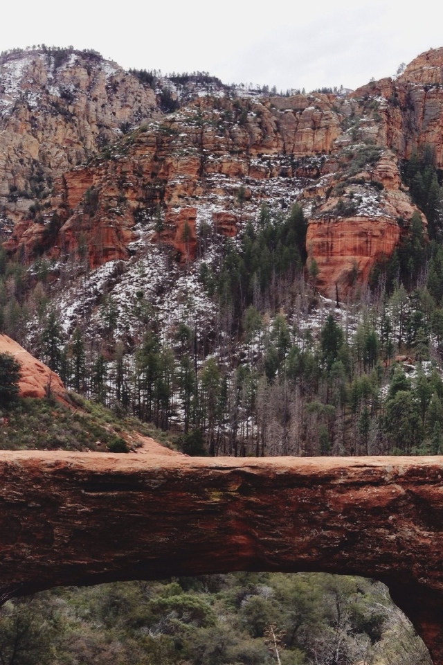 Мост через ущелье