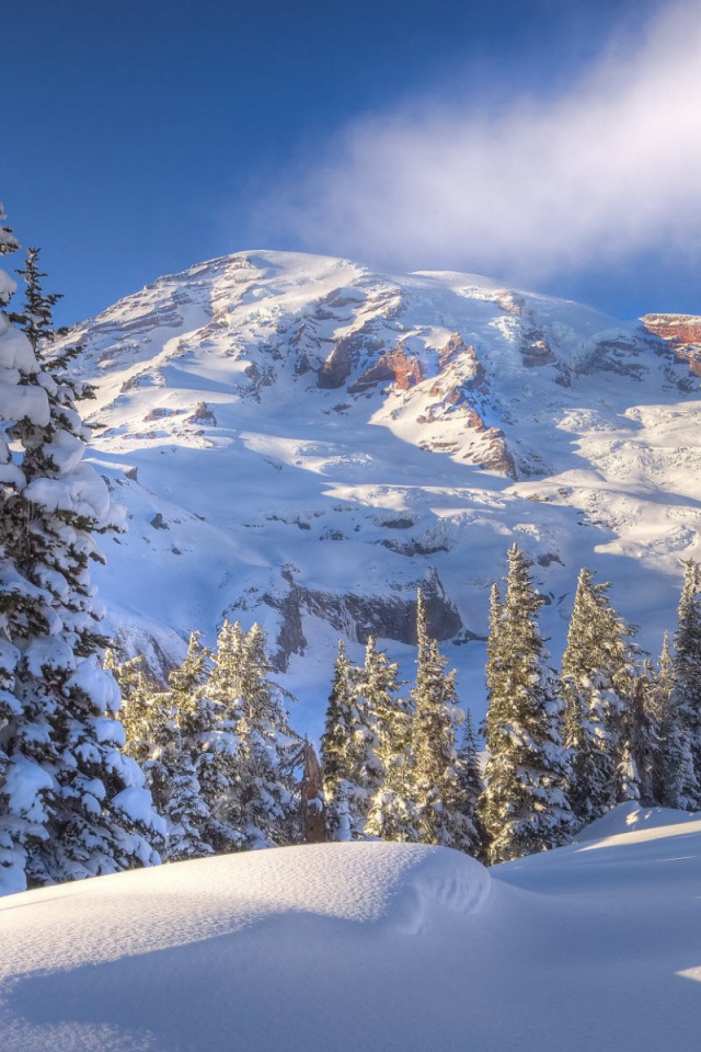 Зимний горный пейзаж