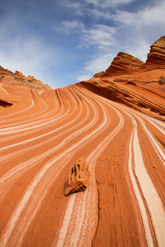 Белые линии на песке