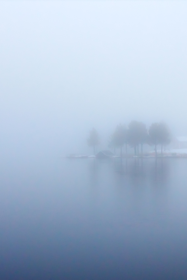 Голубой туман