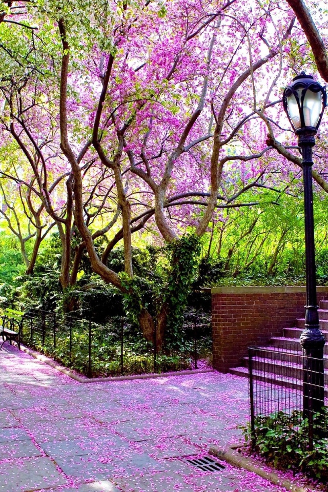 Зеленый парк с фонарем