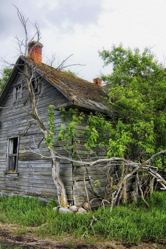 Старый деревянный дом