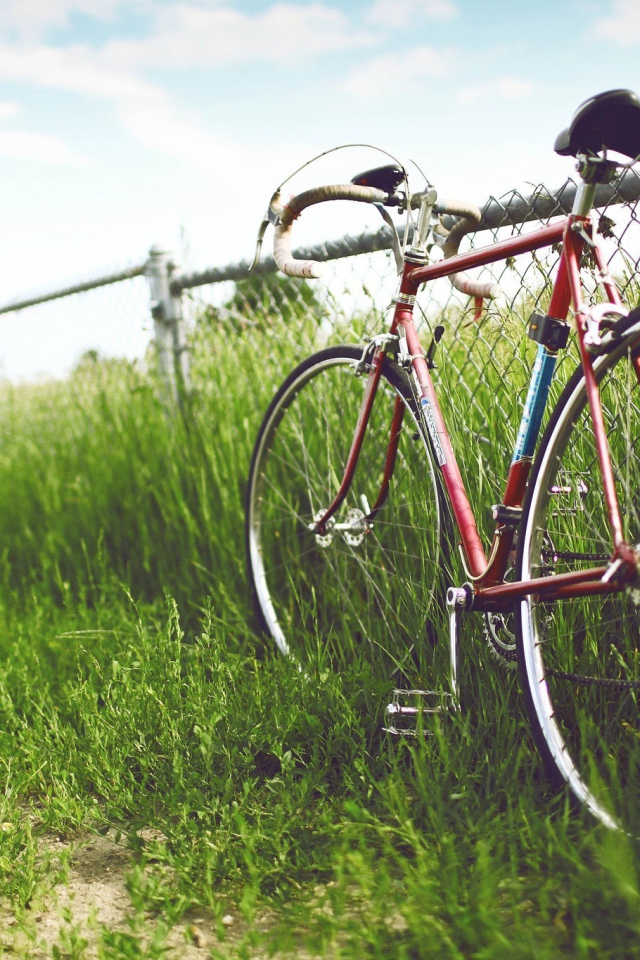 Велосипед у забора
