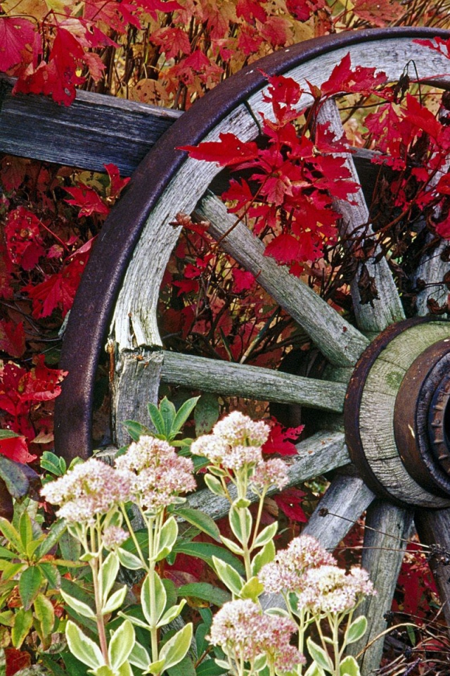 Колесо от старой телеги