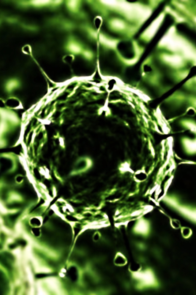 Вирус под микроскопом