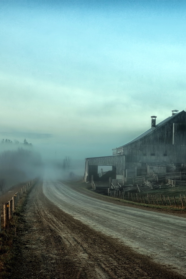 Туман на дороге