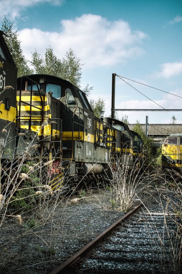 Старая заросшая травой железная дорога