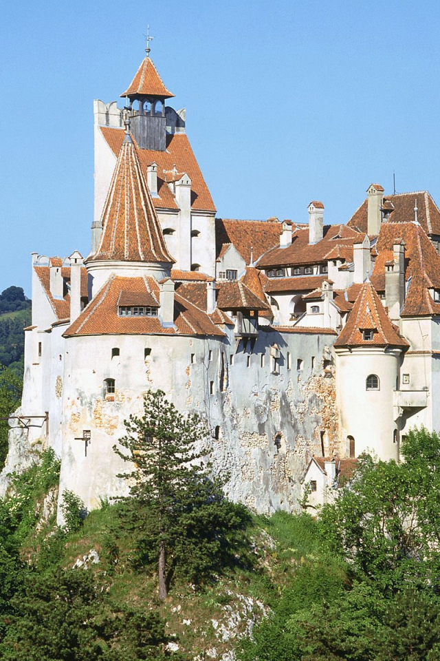 Дворец Дракулы