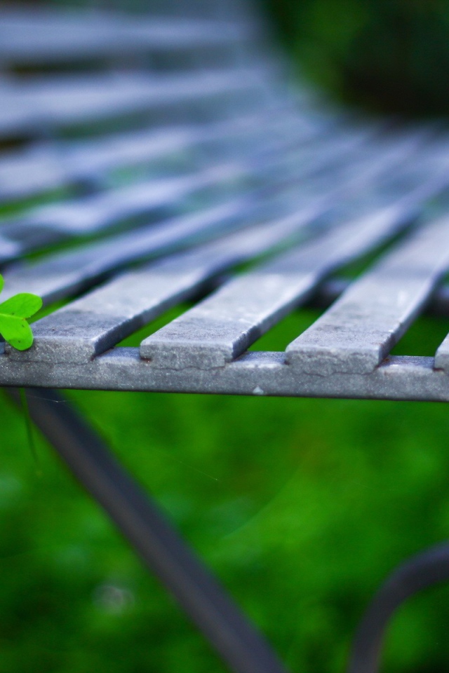 Лист на садовой скамейке
