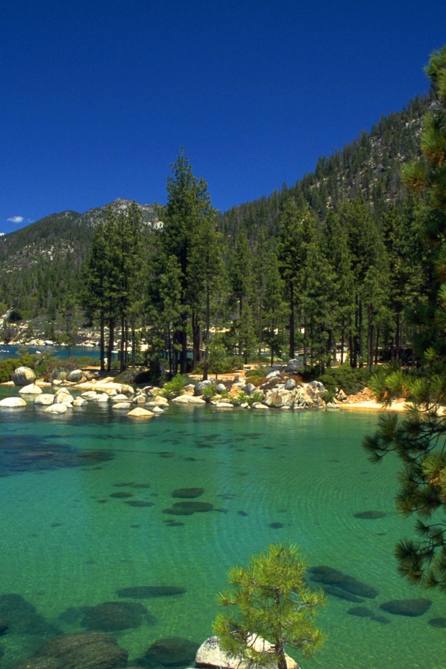 Ели среди озер