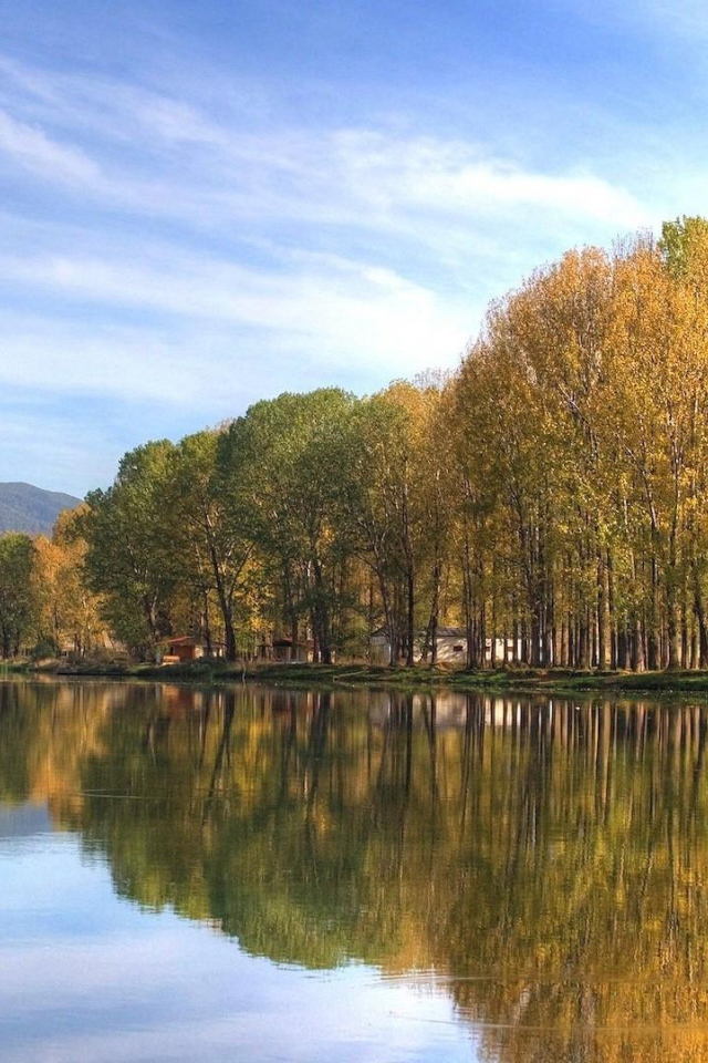 Осенний лес на берегу озера