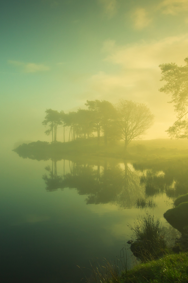 Туман на берегу озера