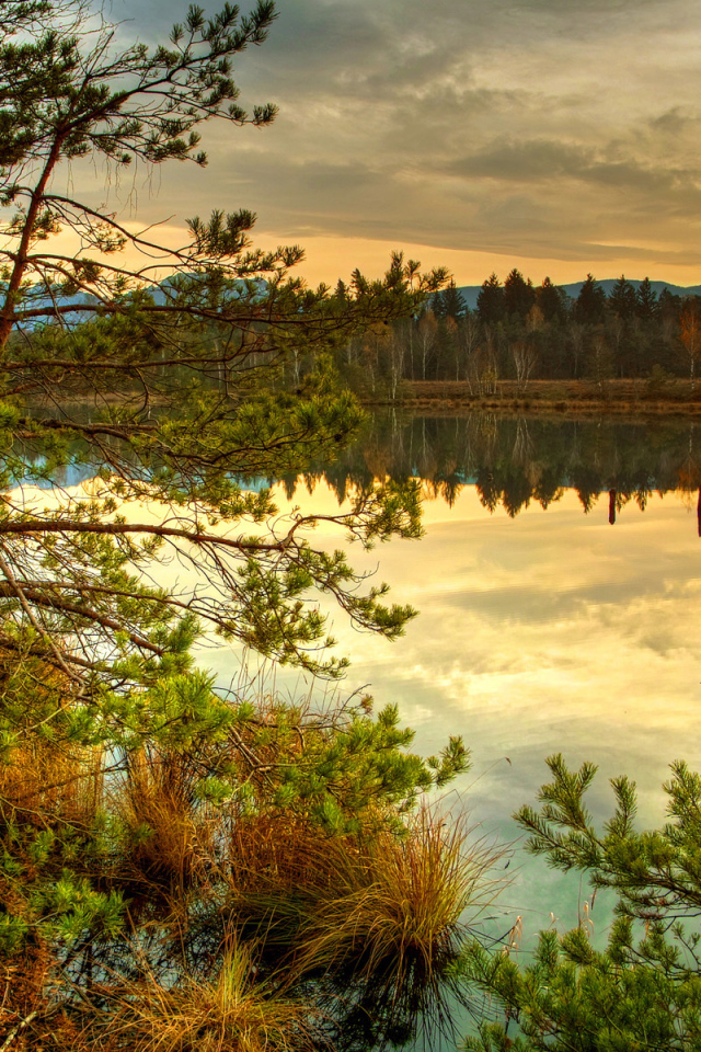 Лесное озеро на закате