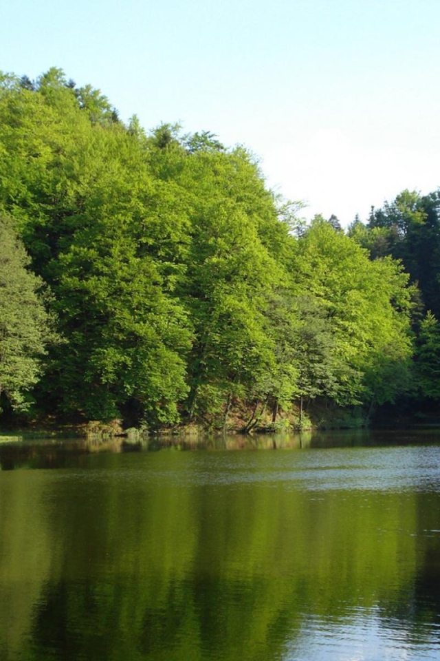 Лесной домик на берегу озера