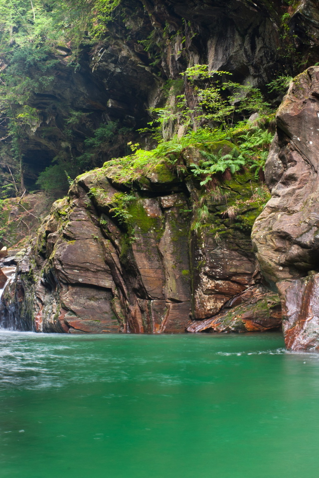 Зеленая вода в реке