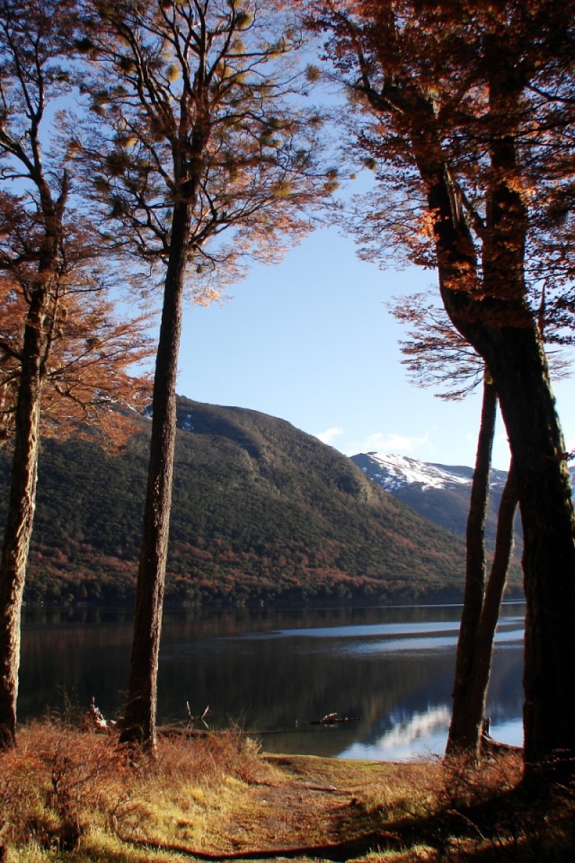 Озеро в осеннем лесу