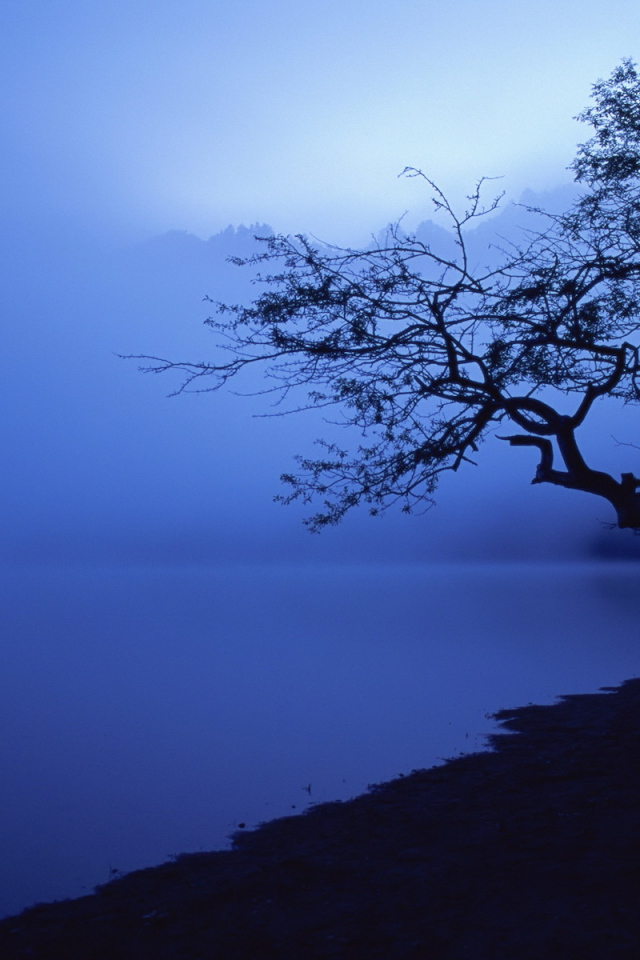 Озеро в синем тумане