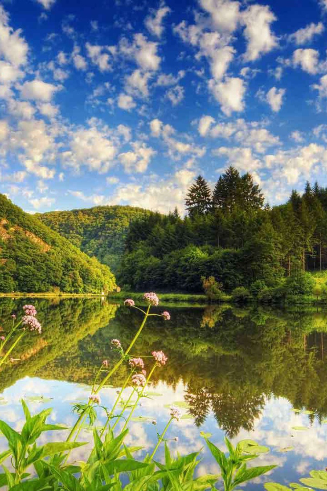 Озеро среди лесистых холмов