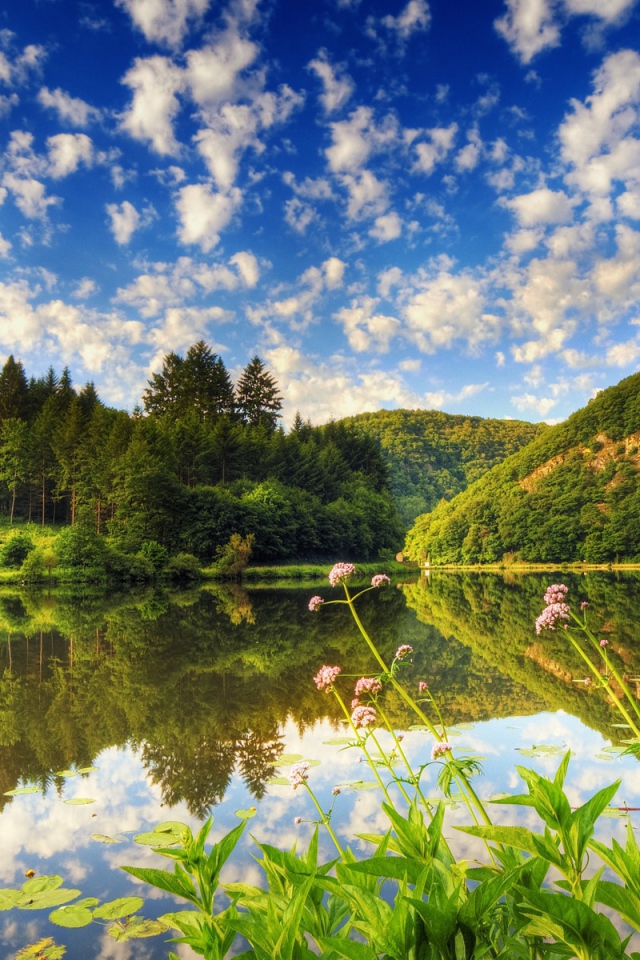 Озеро с чистой водой