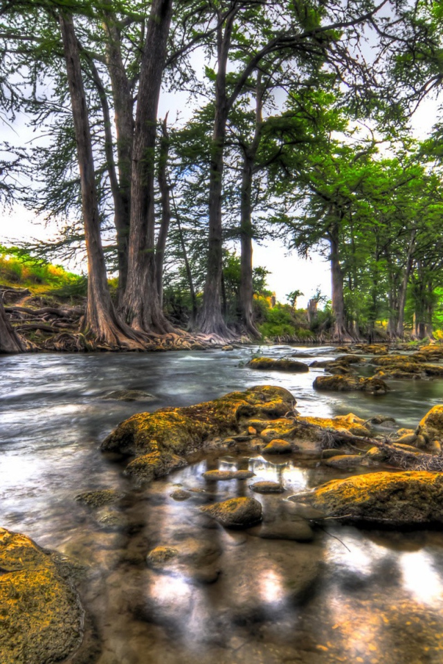 Природа вдоль реки