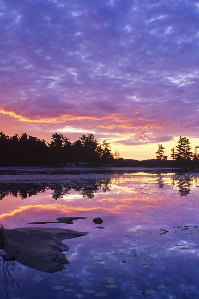Заросшее озеро на закате