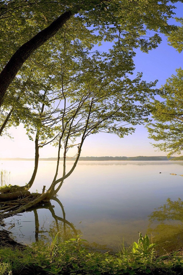 Тихое лесное озеро