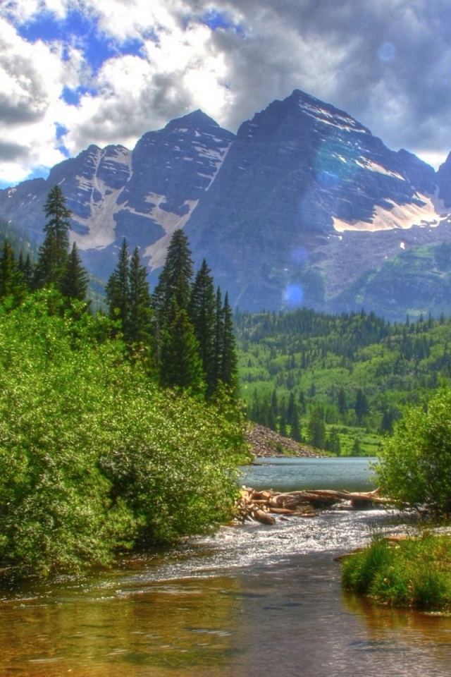 Река в зеленых зарослях