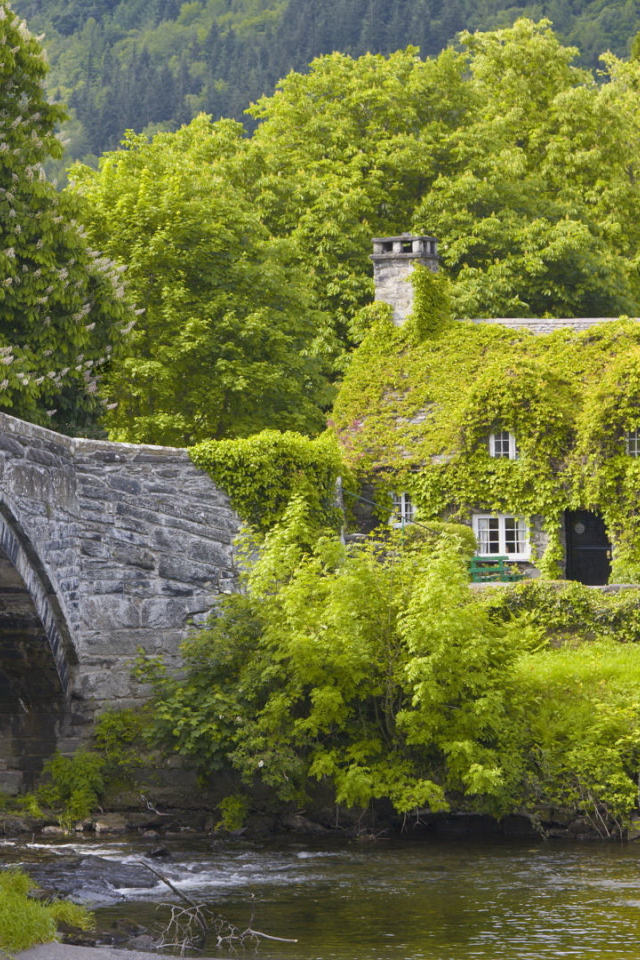 Каменный мост и дом