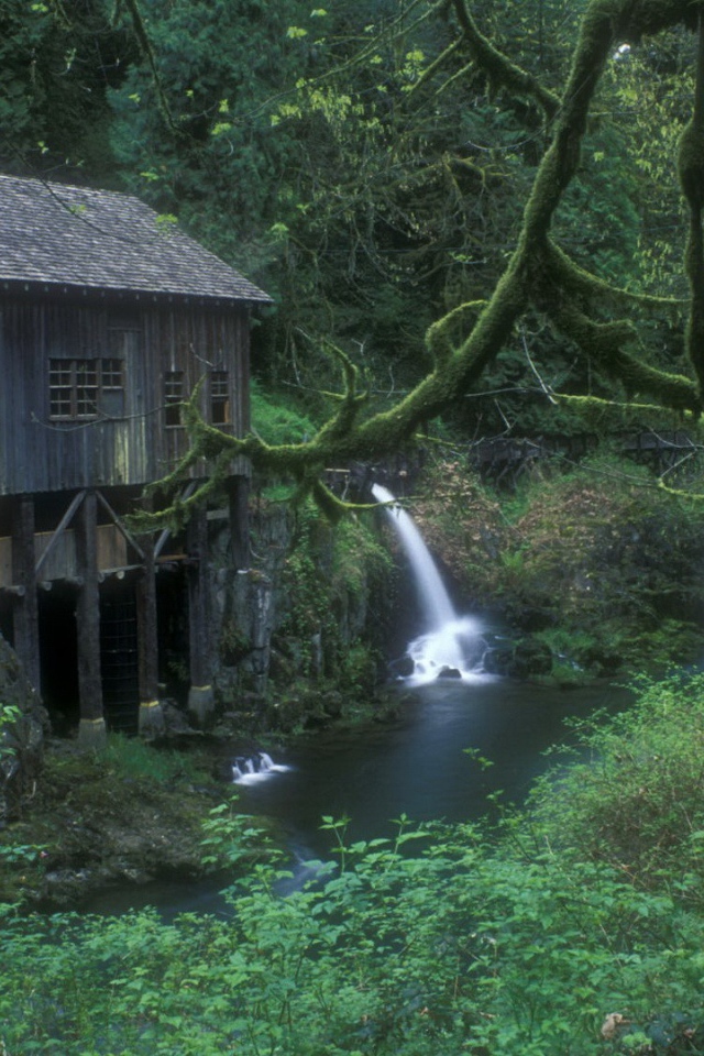 Плотина на реке в лесу