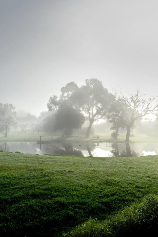 Озеро в тумане
