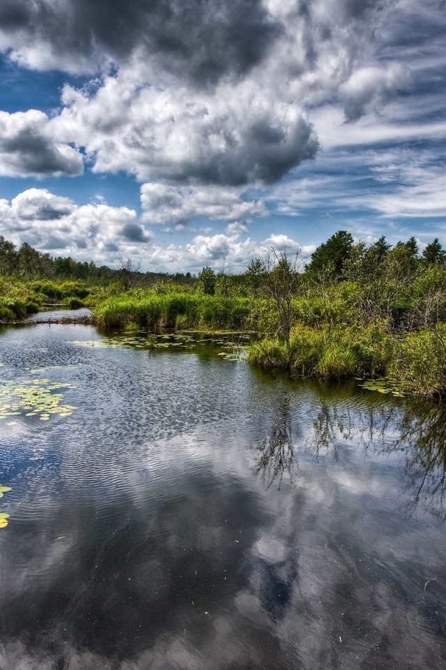 Река превращается в болото