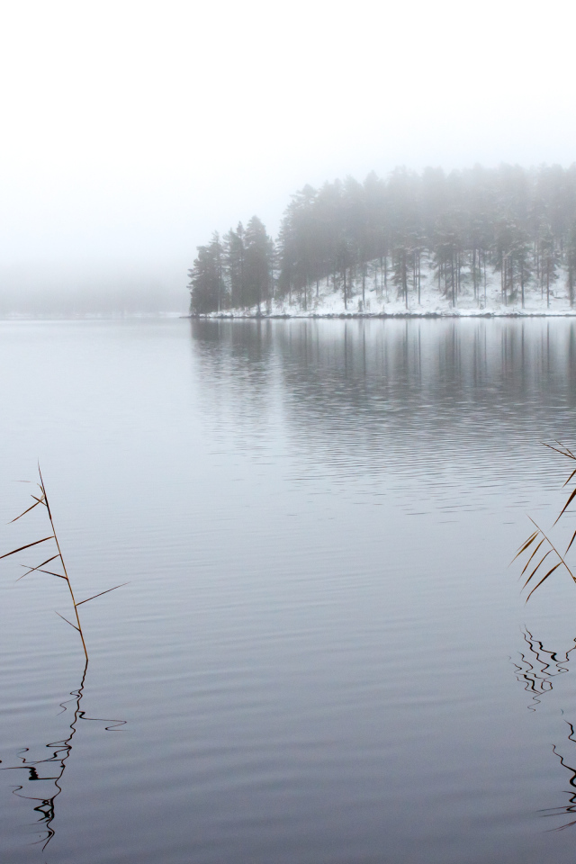 Зимнее озеро в тумане