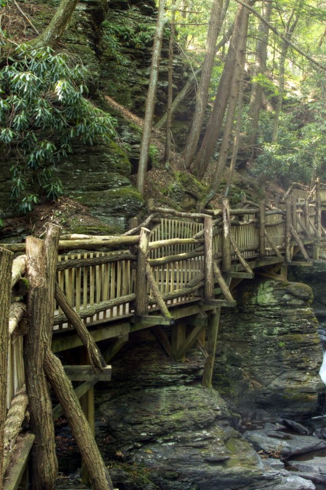 Деревянный мост